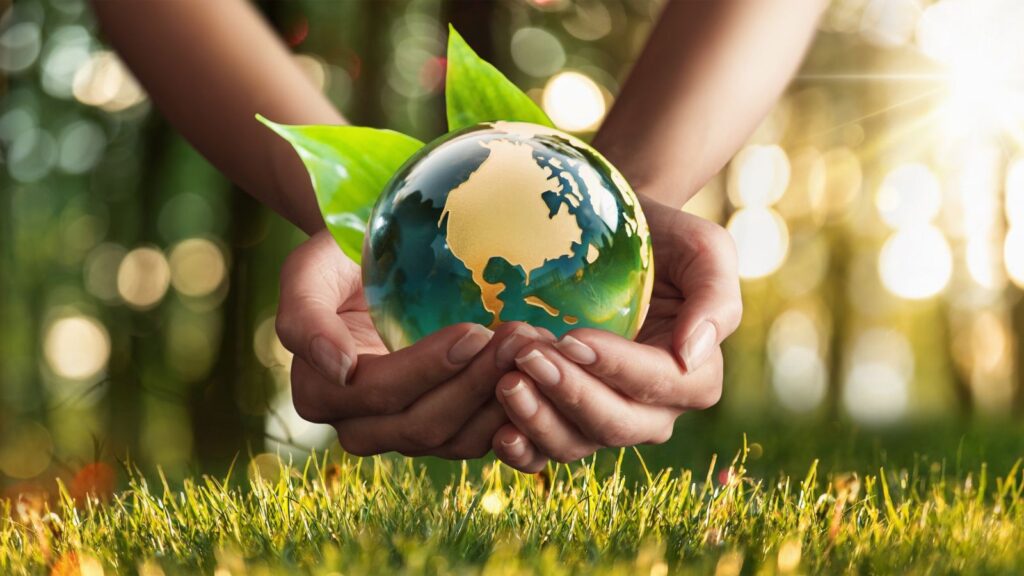 Nghị định 05/2025