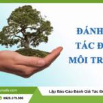 đánh giá tác động môi trường
