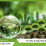 giấy phép môi trường