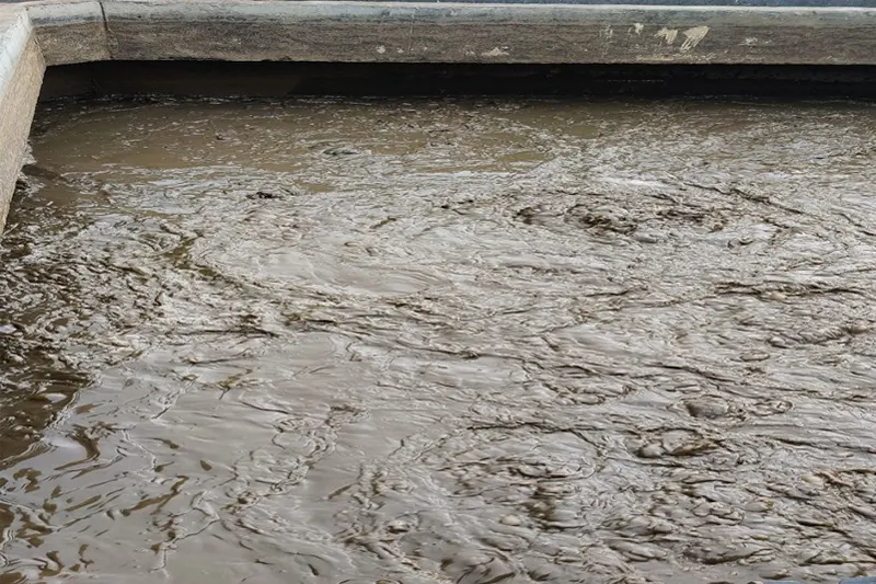 bùn thải công nghiệp