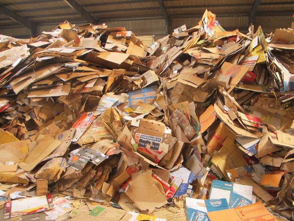 phế liệu giấy