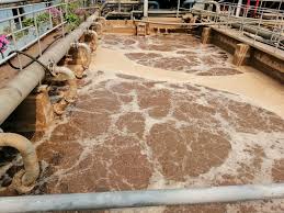 bùn hệ thống xử lý nước thải