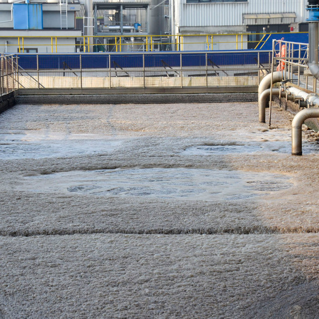 bùn hệ thống xử lý nước thải